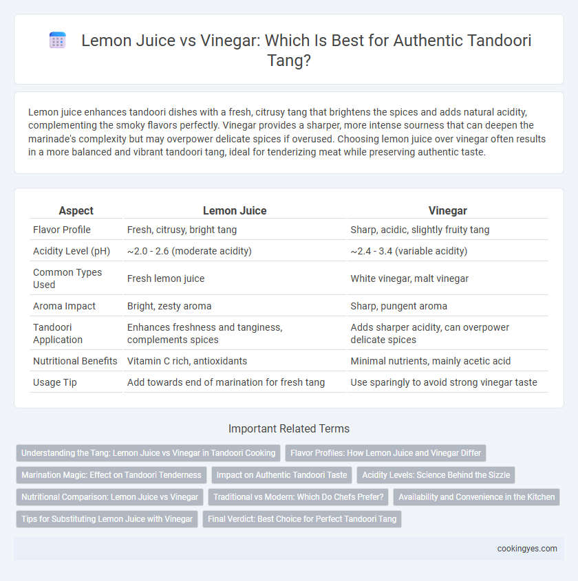 Lemon Juice vs Vinegar: Which Is Best for Authentic Tandoori Tang?
