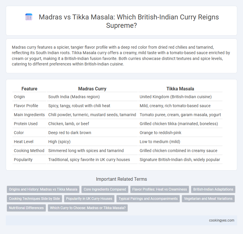 Madras vs Tikka Masala: Which British-Indian Curry Reigns Supreme?