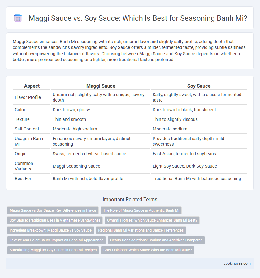 Maggi Sauce vs. Soy Sauce: Which Is Best for Seasoning Banh Mi?