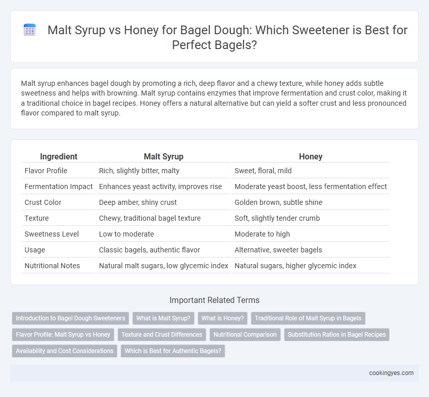Malt Syrup vs Honey for Bagel Dough: Which Sweetener is Best for Perfect Bagels?