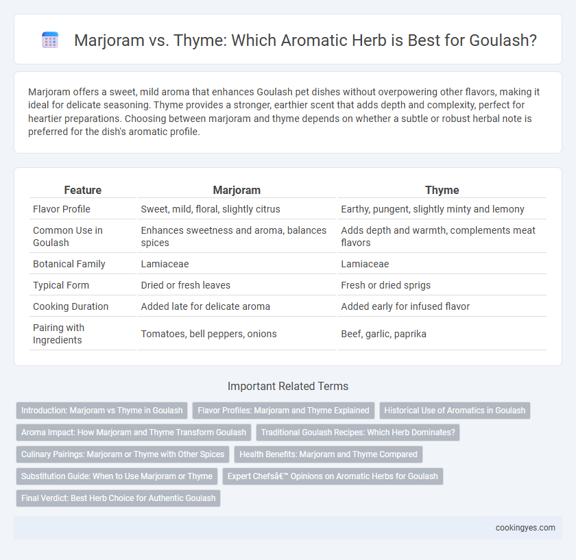 Marjoram vs. Thyme: Which Aromatic Herb is Best for Goulash?