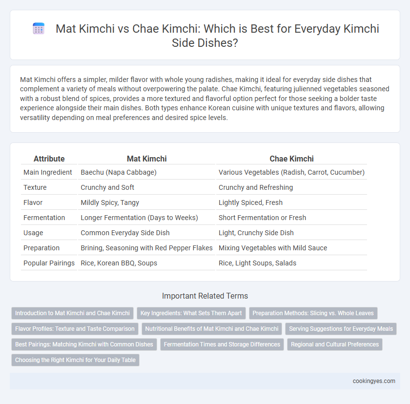 Mat Kimchi vs Chae Kimchi: Which is Best for Everyday Kimchi Side Dishes?