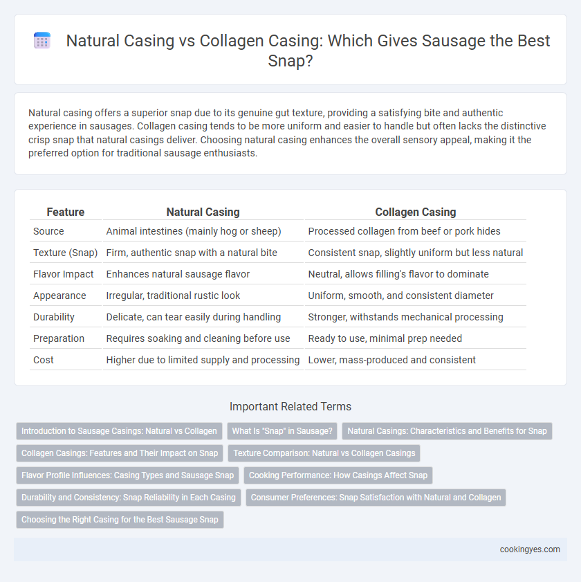 Natural Casing vs Collagen Casing: Which Gives Sausage the Best Snap?