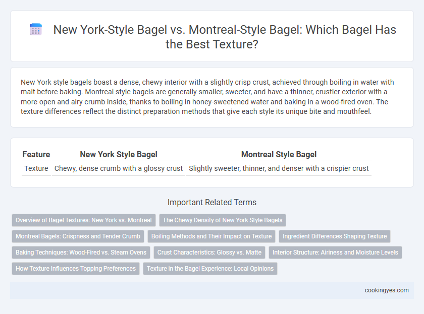 New York-Style Bagel vs. Montreal-Style Bagel: Which Bagel Has the Best Texture?