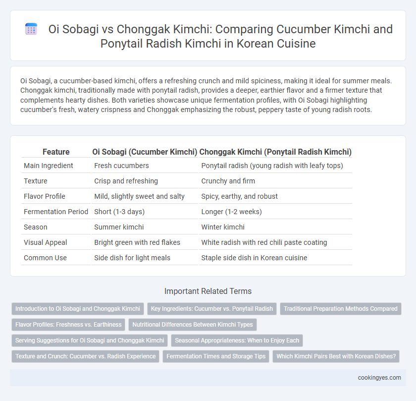 Oi Sobagi vs Chonggak Kimchi: Comparing Cucumber Kimchi and Ponytail Radish Kimchi in Korean Cuisine