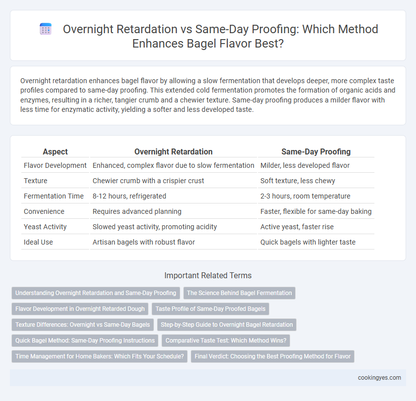 Overnight Retardation vs Same-Day Proofing: Which Method Enhances Bagel Flavor Best?