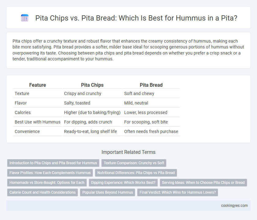 Pita Chips vs. Pita Bread: Which Is Best for Hummus in a Pita?