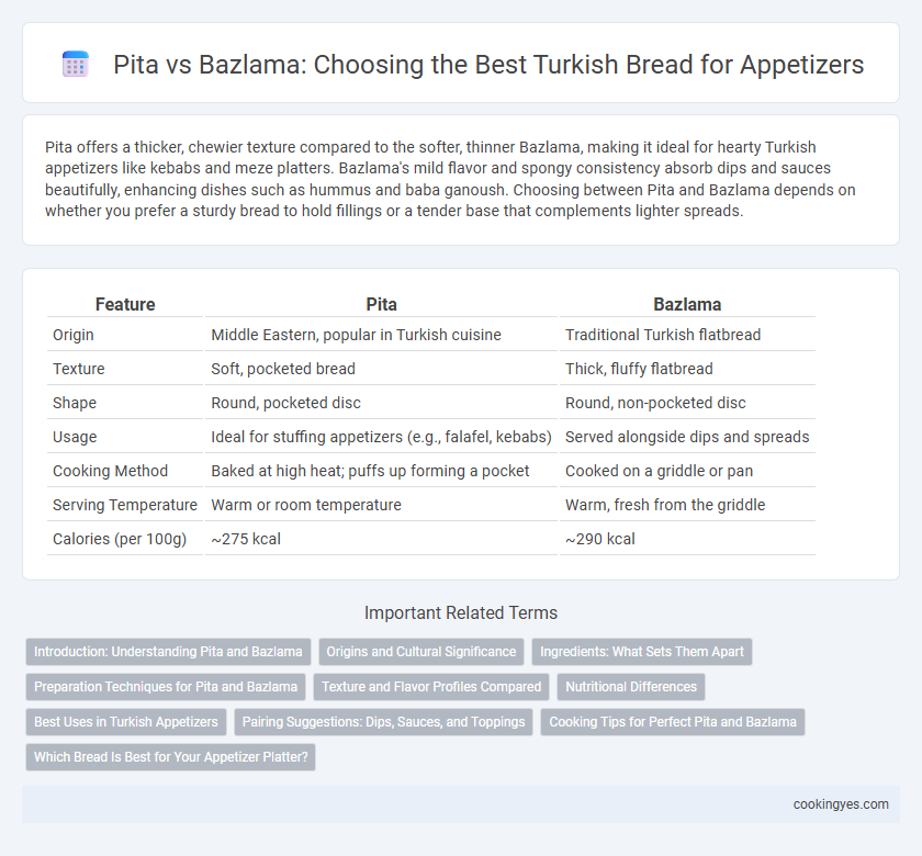 Pita vs Bazlama: Choosing the Best Turkish Bread for Appetizers