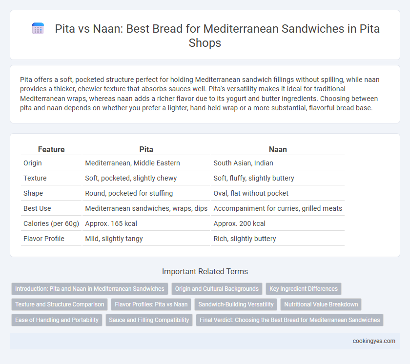 Pita vs Naan: Best Bread for Mediterranean Sandwiches in Pita Shops