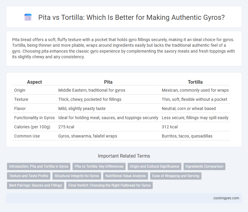 Pita vs Tortilla: Which Is Better for Making Authentic Gyros?
