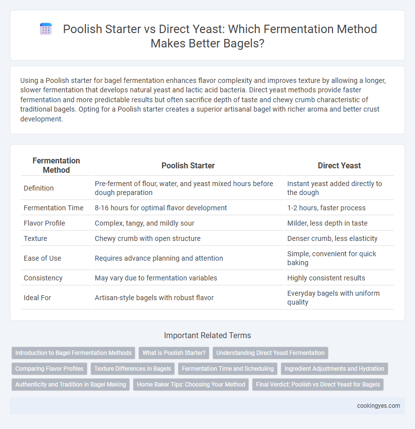 Poolish Starter vs Direct Yeast: Which Fermentation Method Makes Better Bagels?