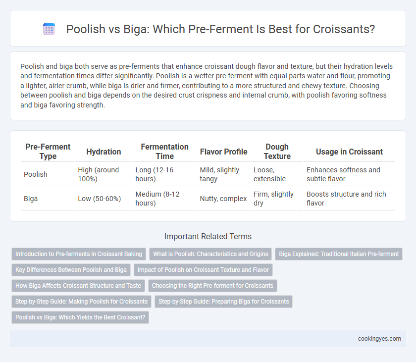 Poolish vs Biga: Which Pre-Ferment Is Best for Croissants?