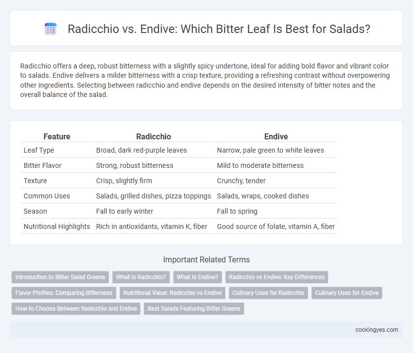 Radicchio vs. Endive: Which Bitter Leaf Is Best for Salads?