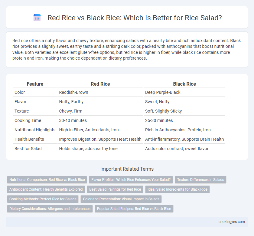 Red Rice vs Black Rice: Which Is Better for Rice Salad?