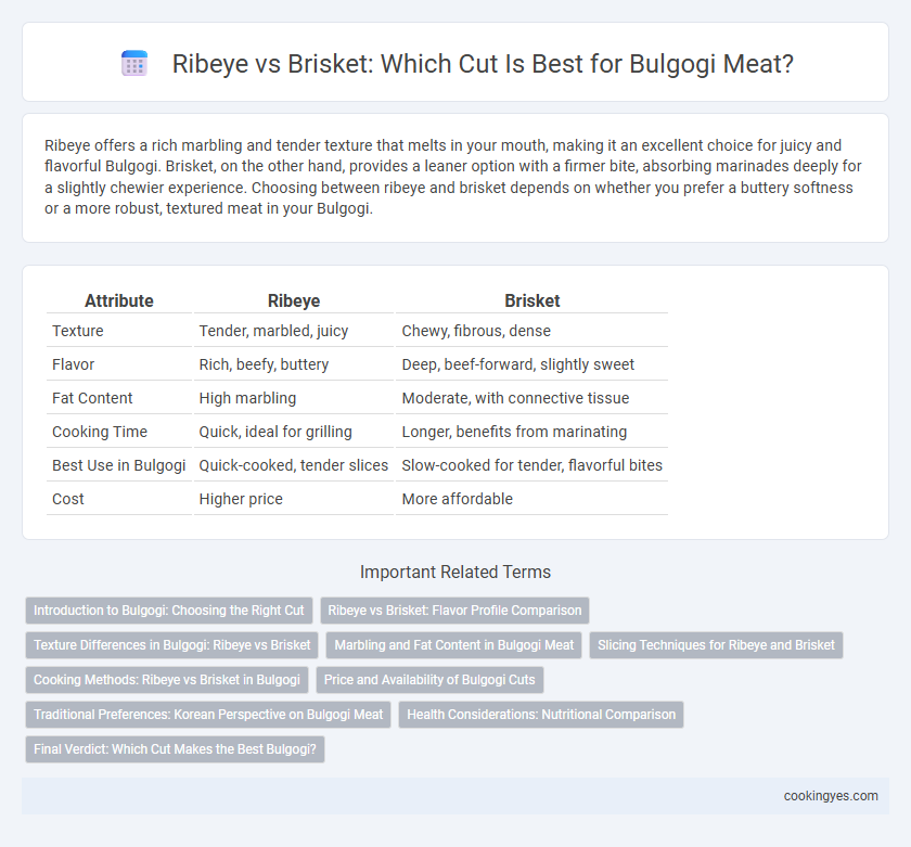 Ribeye vs Brisket: Which Cut Is Best for Bulgogi Meat?