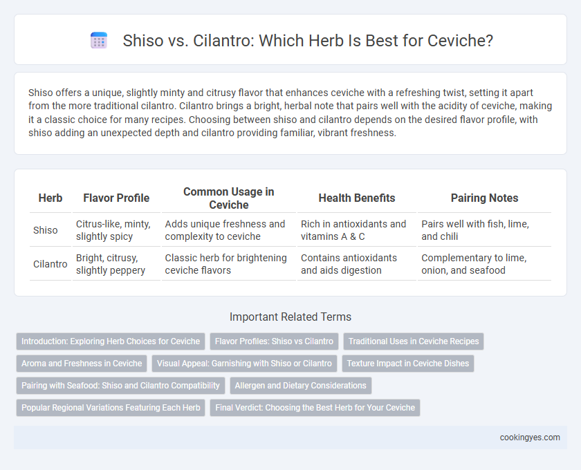 Shiso vs. Cilantro: Which Herb Is Best for Ceviche?
