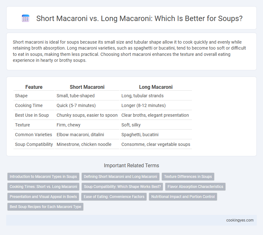Short Macaroni vs. Long Macaroni: Which Is Better for Soups?