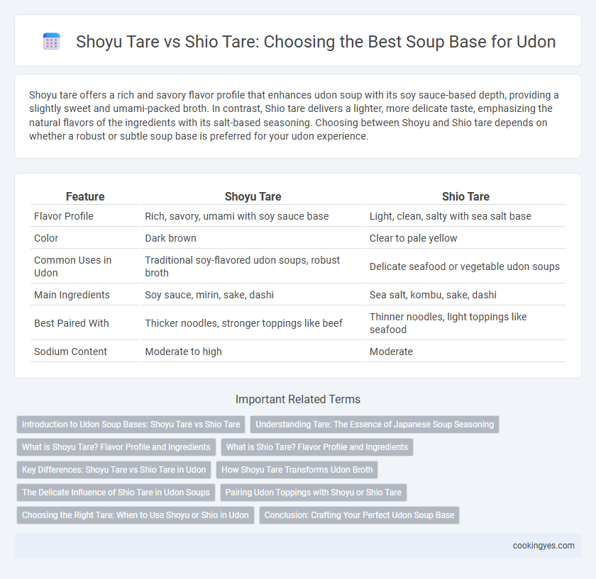 Shoyu Tare vs Shio Tare: Choosing the Best Soup Base for Udon