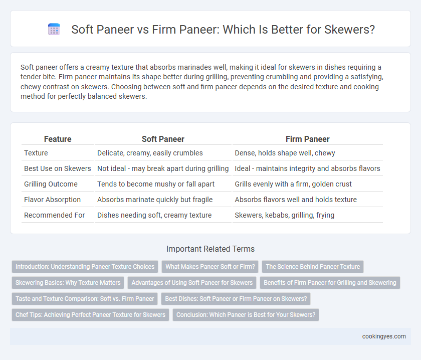 Soft Paneer vs Firm Paneer: Which Is Better for Skewers?