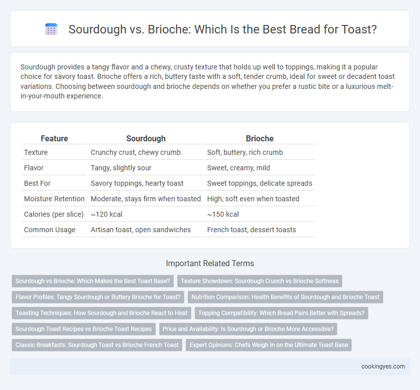 Sourdough vs. Brioche: Which Is the Best Bread for Toast?