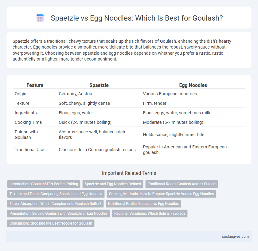 Spaetzle vs Egg Noodles: Which Is Best for Goulash?