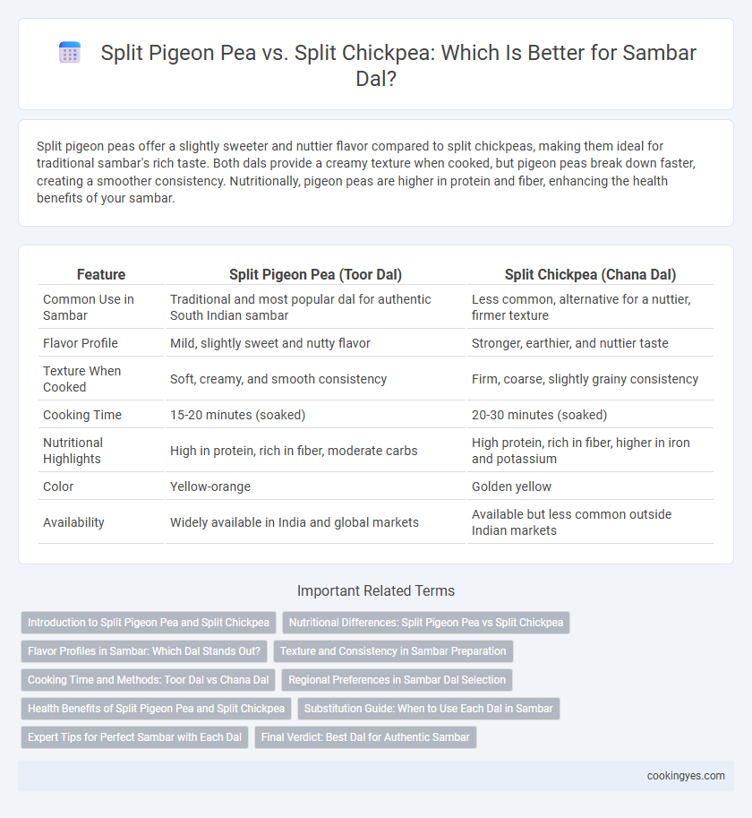 Split Pigeon Pea vs. Split Chickpea: Which Is Better for Sambar Dal?