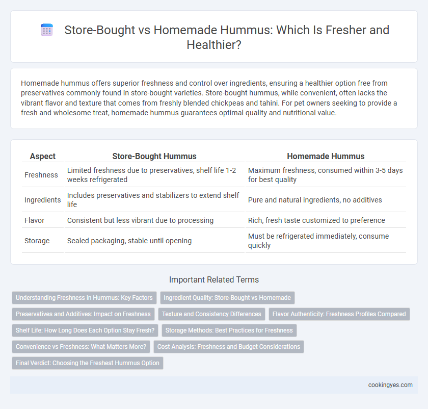 Store-Bought vs Homemade Hummus: Which Is Fresher and Healthier?