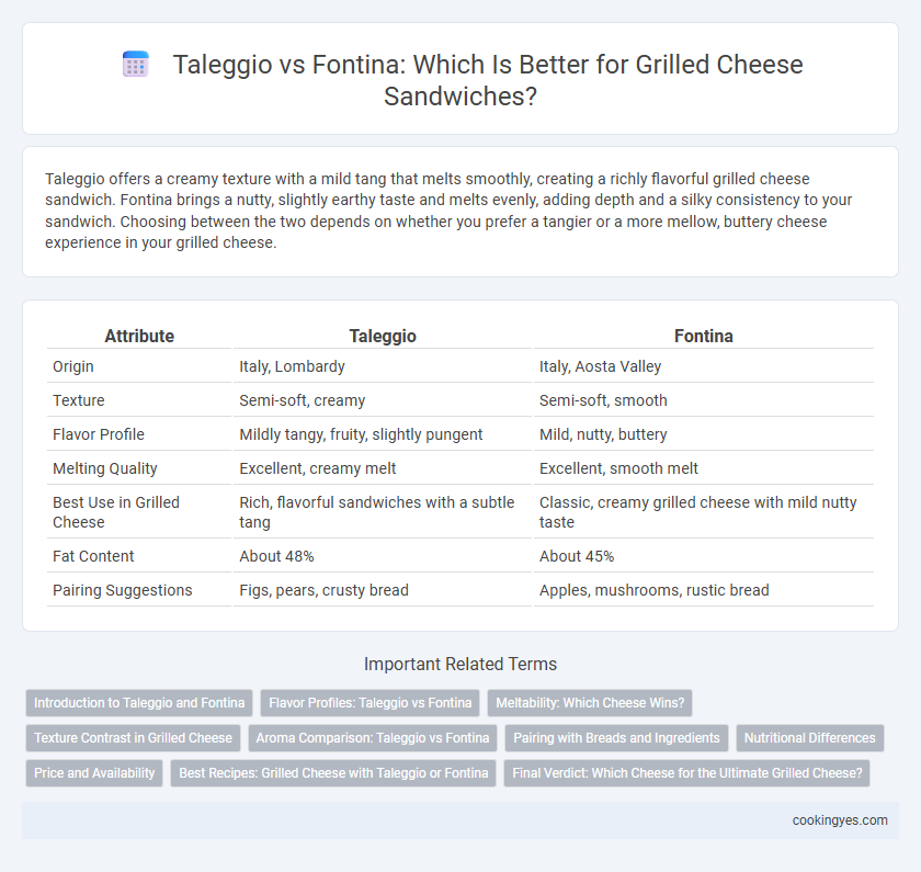Taleggio vs Fontina: Which Is Better for Grilled Cheese Sandwiches?