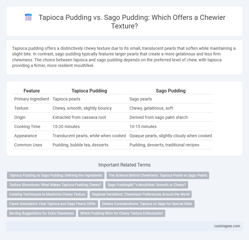 Tapioca Pudding vs. Sago Pudding: Which Offers a Chewier Texture?