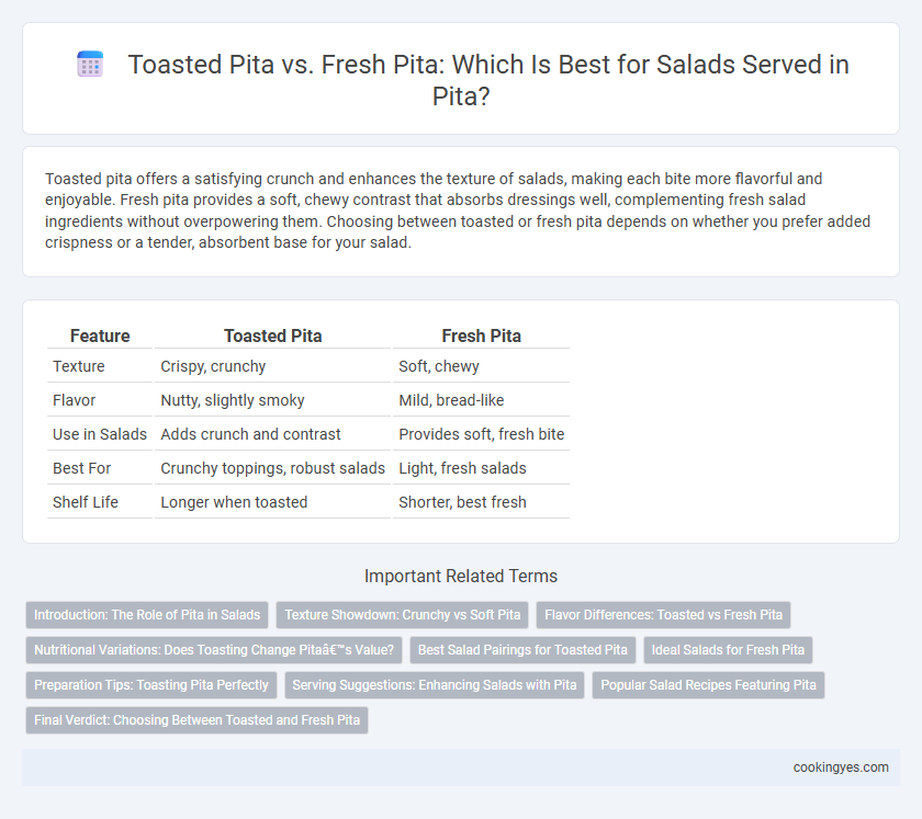 Toasted Pita vs. Fresh Pita: Which Is Best for Salads Served in Pita?