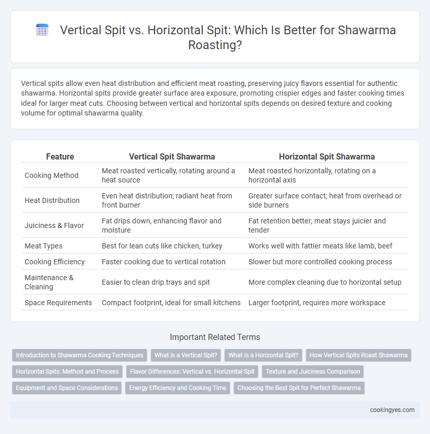 Vertical Spit vs. Horizontal Spit: Which Is Better for Shawarma Roasting?