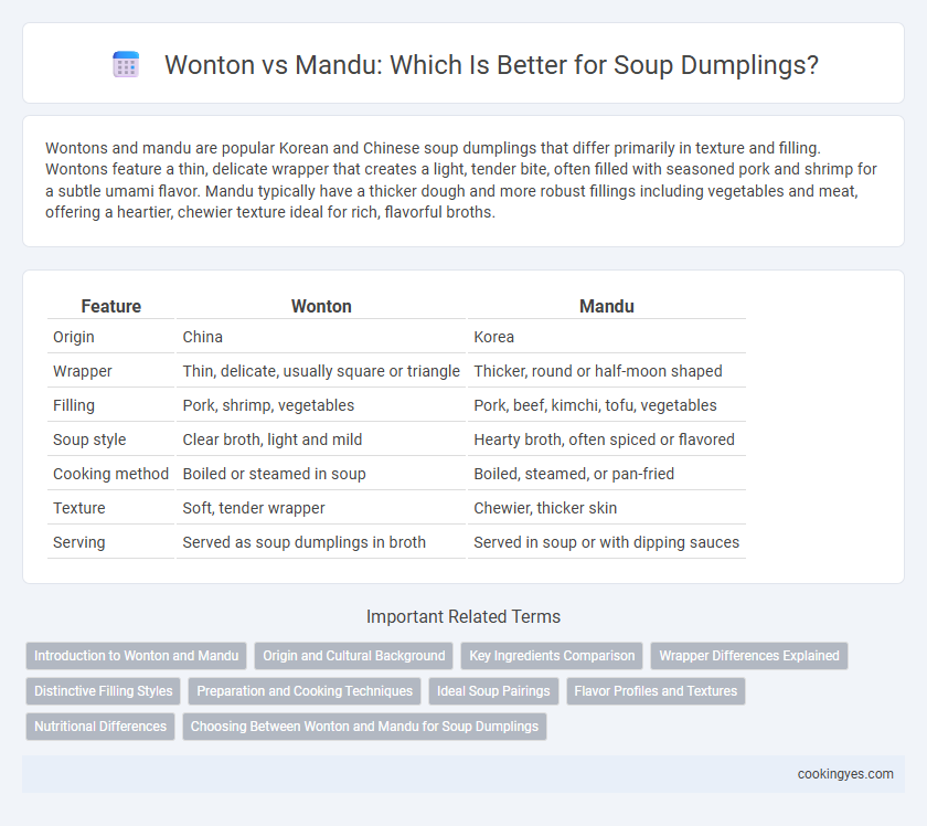 Wonton vs Mandu: Which Is Better for Soup Dumplings?