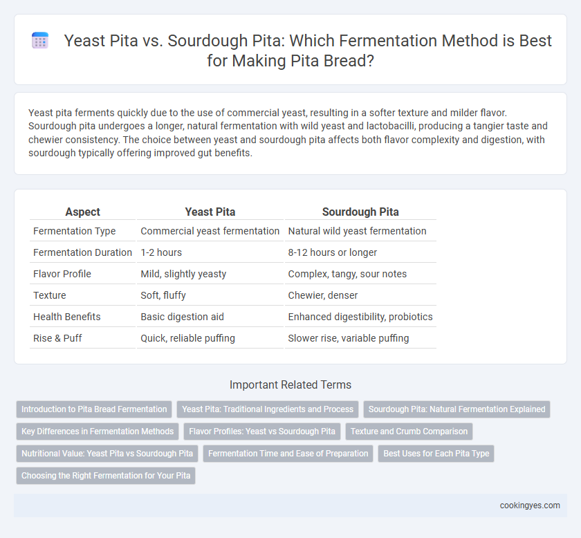 Yeast Pita vs. Sourdough Pita: Which Fermentation Method is Best for Making Pita Bread?