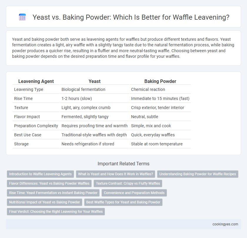 Yeast vs. Baking Powder: Which Is Better for Waffle Leavening?