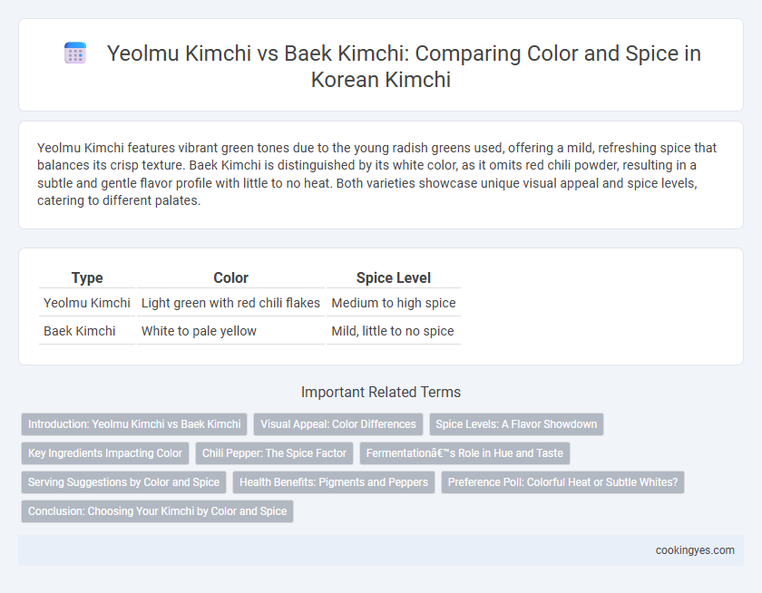 Yeolmu Kimchi vs Baek Kimchi: Comparing Color and Spice in Korean Kimchi