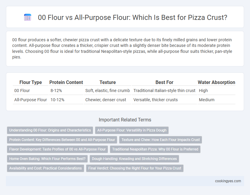 00 Flour vs All-Purpose Flour: Which Is Best for Pizza Crust?