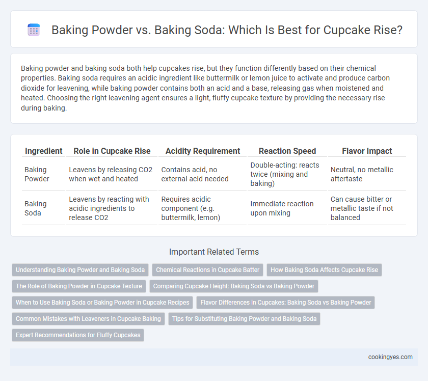 Baking Powder vs. Baking Soda: Which Is Best for Cupcake Rise?