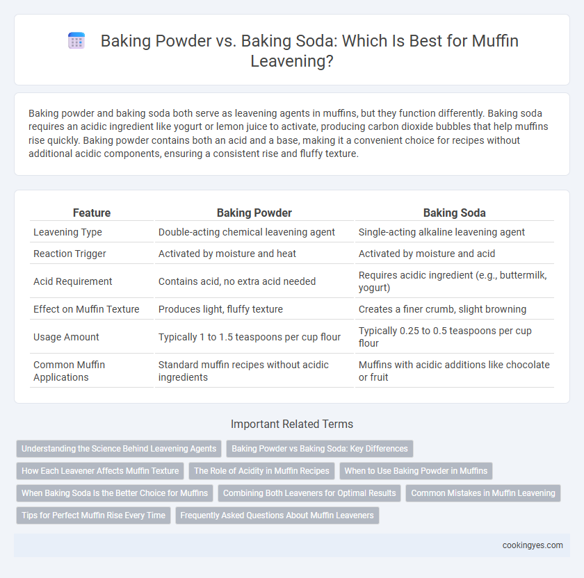 Baking Powder vs. Baking Soda: Which Is Best for Muffin Leavening?