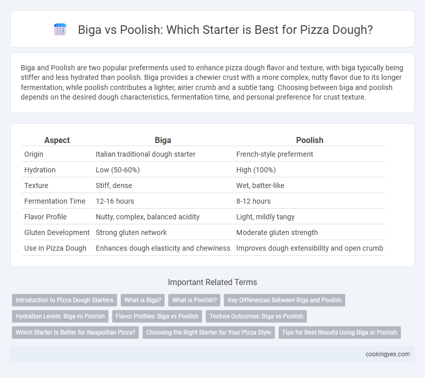 Biga vs Poolish: Which Starter is Best for Pizza Dough?