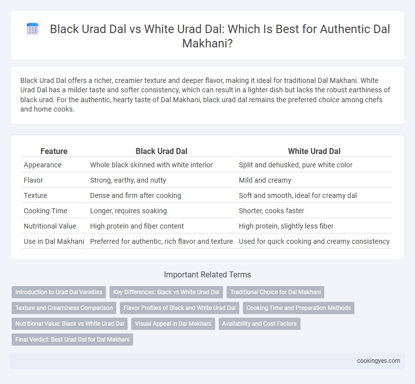 Black Urad Dal vs White Urad Dal: Which Is Best for Authentic Dal Makhani?