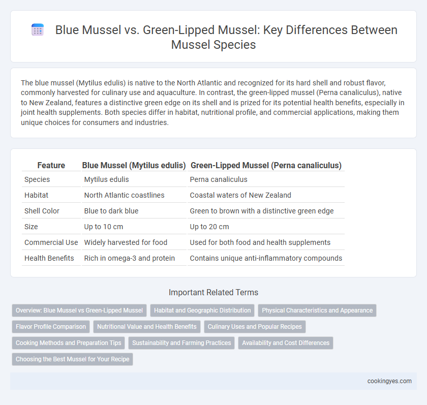 Blue Mussel vs. Green-Lipped Mussel: Key Differences Between Mussel Species