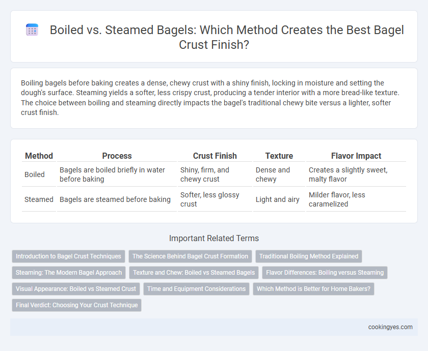 Boiled vs. Steamed Bagels: Which Method Creates the Best Bagel Crust Finish?