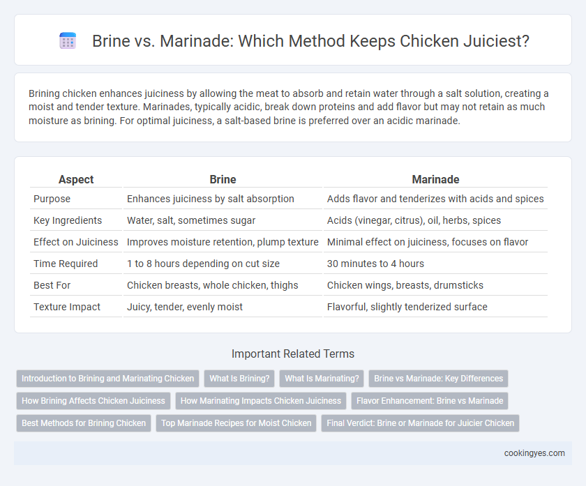 Brine vs. Marinade: Which Method Keeps Chicken Juiciest?