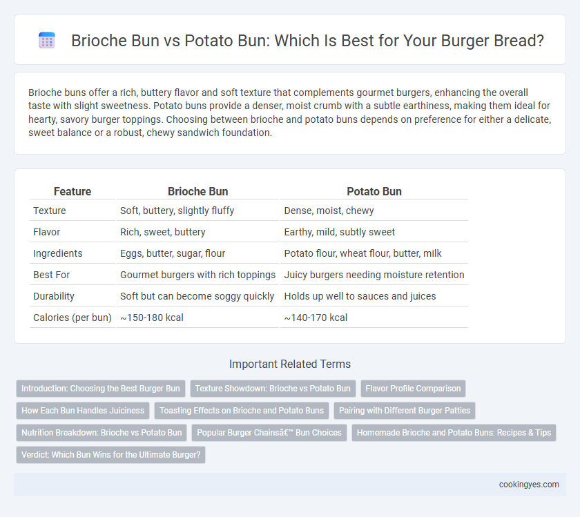 Brioche Bun vs Potato Bun: Which Is Best for Your Burger Bread?