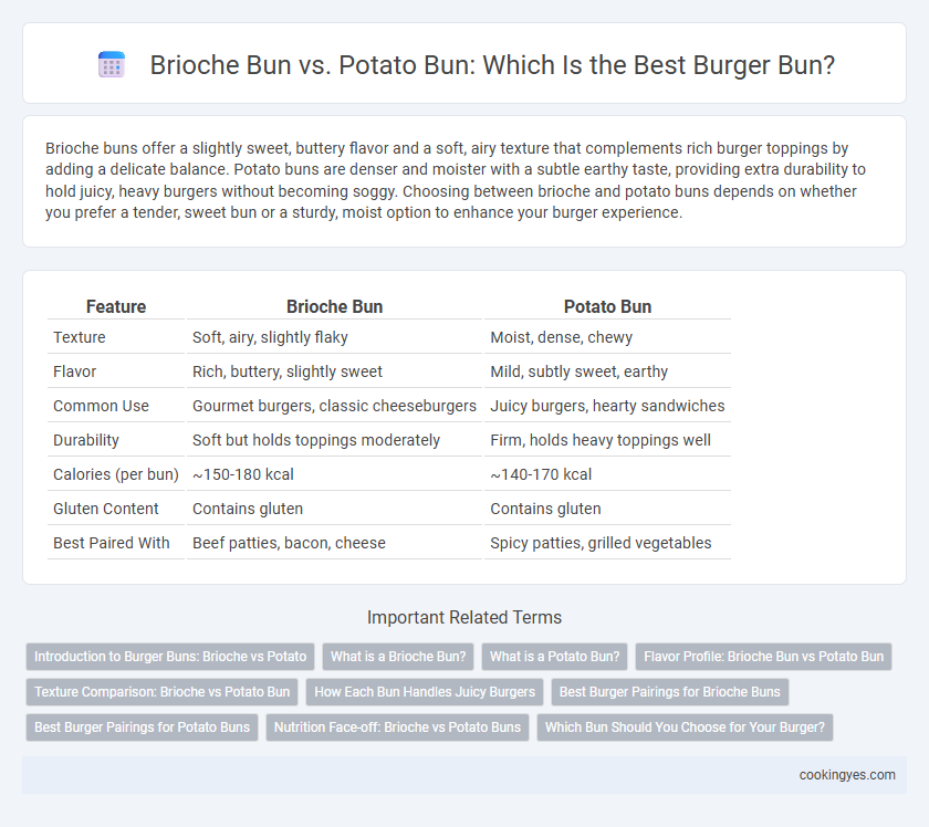 Brioche Bun vs. Potato Bun: Which Is the Best Burger Bun?
