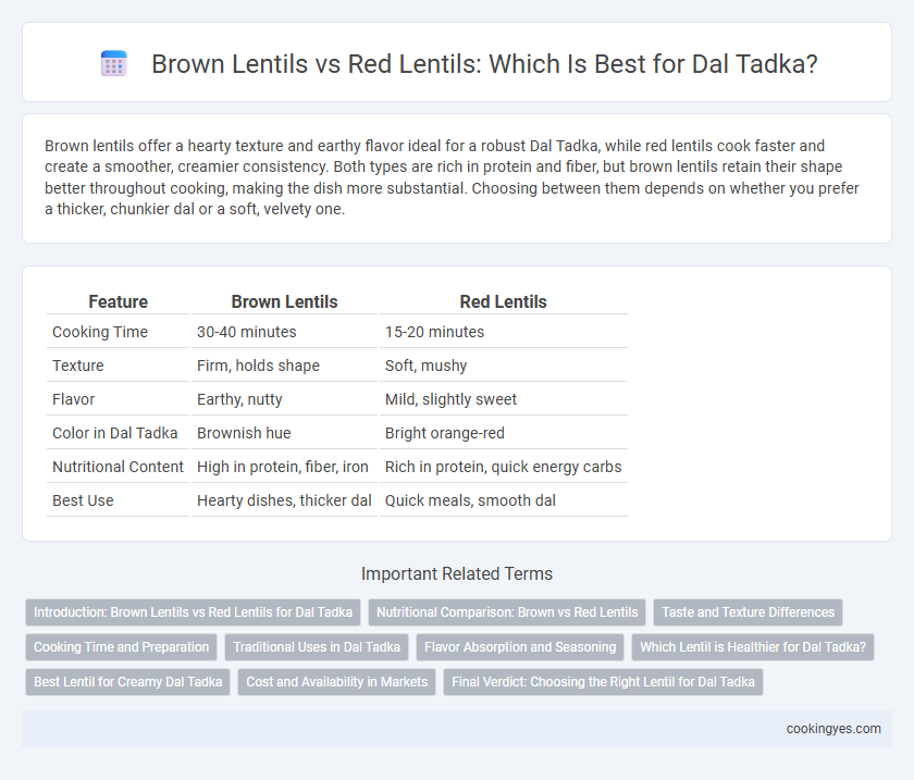 Brown Lentils vs Red Lentils: Which Is Best for Dal Tadka?