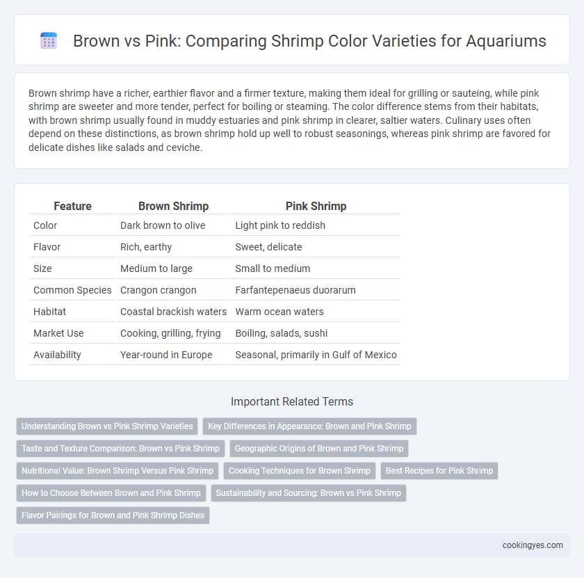 Brown vs Pink: Comparing Shrimp Color Varieties for Aquariums