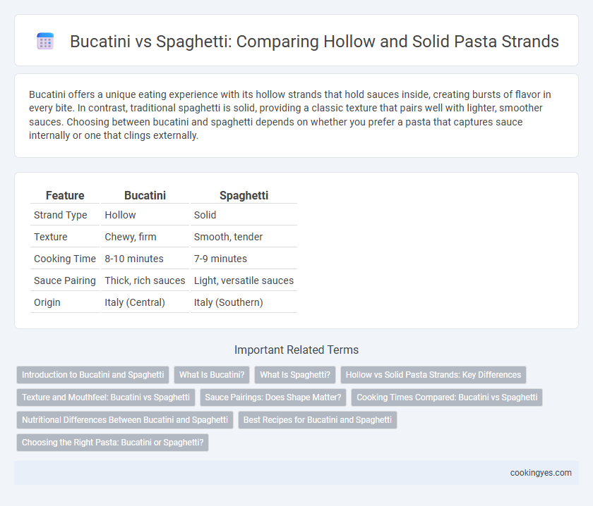 Bucatini vs Spaghetti: Comparing Hollow and Solid Pasta Strands