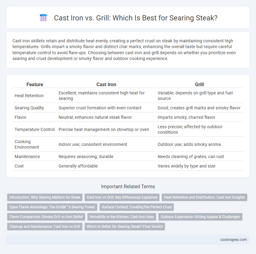 Cast Iron vs. Grill: Which Is Best for Searing Steak?