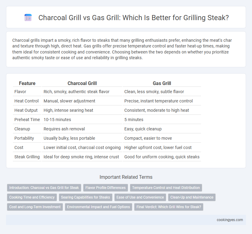 Charcoal Grill vs Gas Grill: Which Is Better for Grilling Steak?